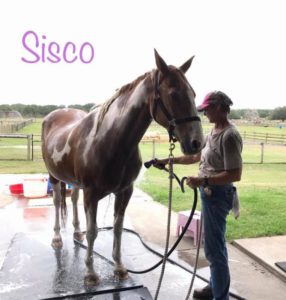 Bath Time for Sisco