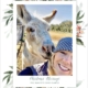Selfie of Theresa Batchelor and donkey
