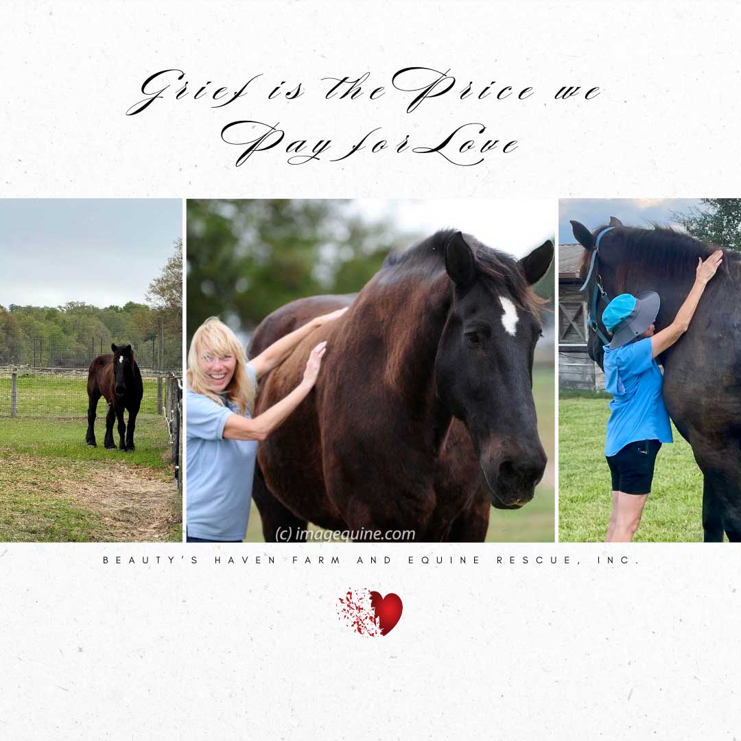 Collage of Miskha, a dark bay Percheron, with Theresa Batchelor. Captioned "Grief is the price we pay for love."